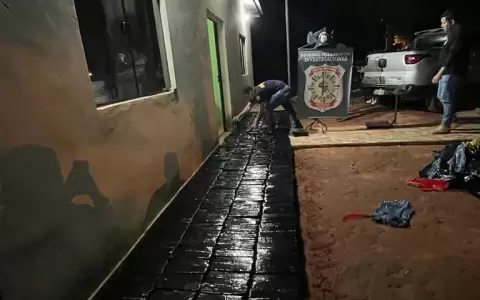 Incautan 268 kilos de marihuana durante controles en Villa Ygatim�