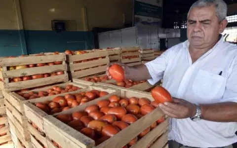 Preocupaci�n en el Abasto por escasez de tomates y posible nueva subida de precios