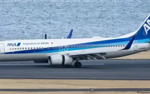 Jap�n: suspenden vuelo por pasajero que mordi� a una azafata