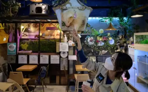 Corea del Sur toma medidas dr�sticas contra los controvertidos caf�s de animales