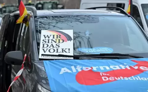 �C�mo la derecha extrema se apoder� del t�rmino "remigraci�n"?