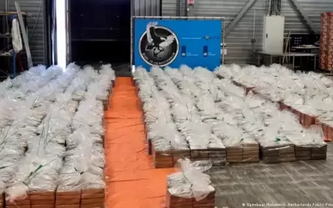 B�lgica: r�cord de 116 toneladas de coca�na en Amberes