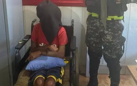 Detienen al "terror en silla de ruedas" que se dedicaba a delinquir pese a la discapacidad