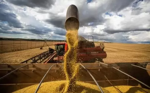 Alza de precios en commodities agr�colas a finales del 2023