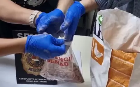 Senad incauta dosis de �xtasis oculta en comida para perros