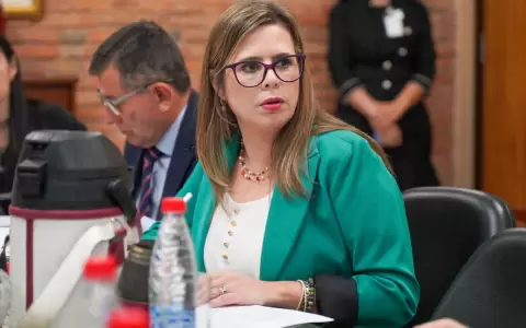 Senadora insiste en que Pe�a vete ley modificada de conflicto de intereses