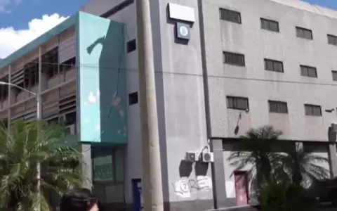 Palma no "brill�" siquiera tres meses, empresas privadas volvieron a instalar cables a�reos