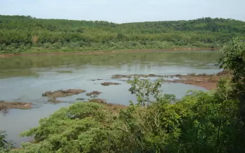 Ejecutivo declara �rea silvestre protegida a los Humedales de Cerro Tigre