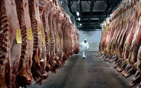 Israel autoriza importaci�n de carne bovina paraguaya con hueso