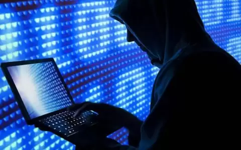 Vulnerabilidad cibern�tica