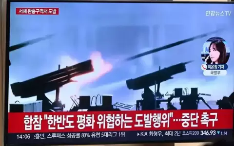 Pyongyang dispara 200 proyectiles desde costa oeste: Se�l