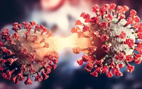 Covid-19: Salud confirm� circulaci�n de una segunda subvariante del �micron en Paraguay