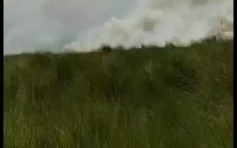 Reportan gran incendio en pastizal en San Bernardino�