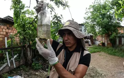 Las botellas ocupan el primer lugar entre los criaderos de mosquitos
