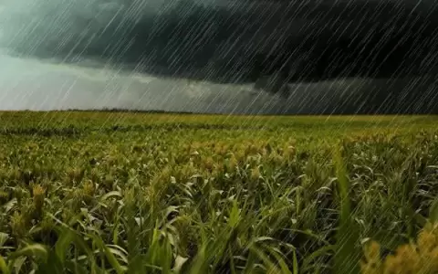 Caluroso y ocasionales tormentas el�ctricas