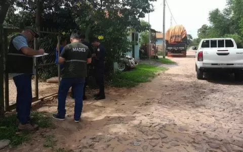 Mades interviene en caso de monita que muri� asfixiada en una caja de cart�n