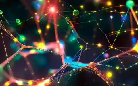 Revelan circuitos neuronales asociados a toma de decisiones