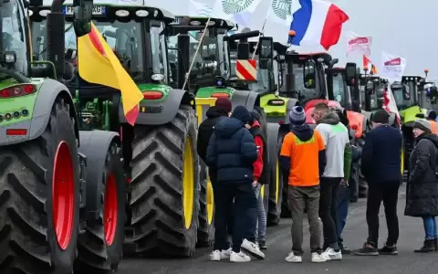 Agricultores europeos: "Acuerdo con Mercosur es inaceptable"