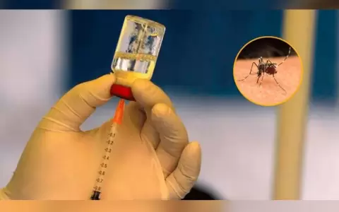 Vacuna contra dengue �es bastante cara�, sostienen desde Salud