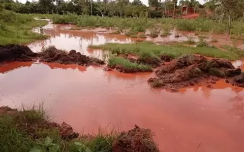 Confirman la contaminaci�n con cianuro de un arroyo en Paso Yob�i y proh�ben acceso