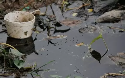 Criaderos de mosquitos en antiguo hospital: vecinos alarmados y sin respuesta