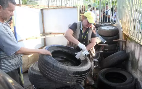 Hoy es el D�a Nacional de Lucha Contra el Dengue, pero piden que la tarea sea todos los d�as