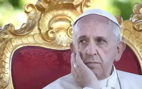 Francisco pidi� prohibir maternidad subrogada: "La teor�a de g�nero es peligrosa�, dijo