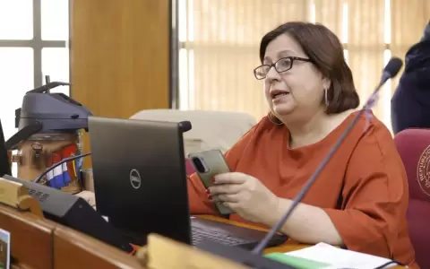 No hay voluntad pol�tica para combatir el nepotismo, lamenta senadora