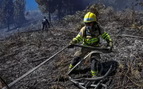 Colombia acude a la ONU ante escenario de "desastre natural" por incendios
