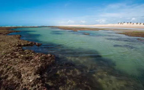 Claves para viajar a Brasil sin pasar por turista despistado