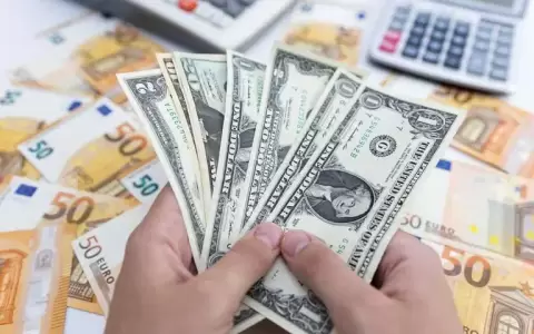 El negocio clandestino de divisas: USD 15 millones en juego cada d�a