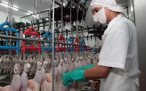 Se registra menor exportaci�n de carne av�cola