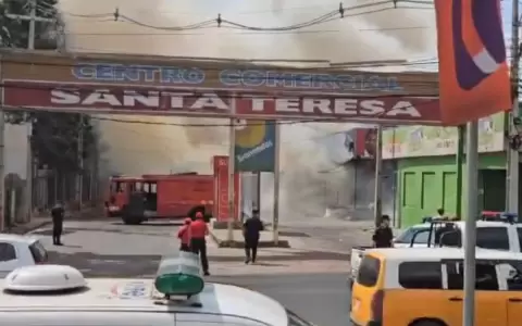 Local del Abasto arde en llamas