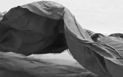 Proyecto Invernadero y "El desaf�o de lo imposible"