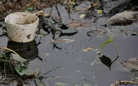Registran mayor cantidad de criaderos de mosquitos en Central