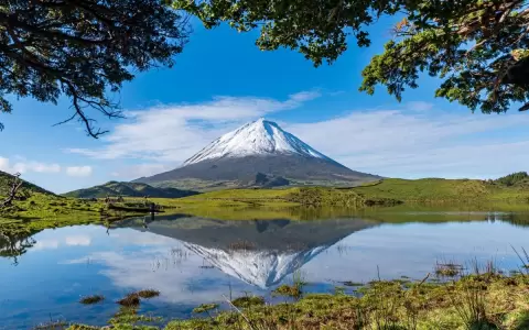 En las Azores, un laboratorio para la biodiversidad