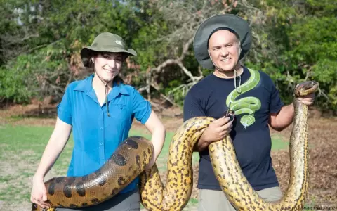 Descubren la nueva especie de serpiente m�s grande del mundo