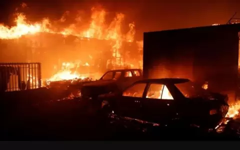 Chile declar� el estado de excepci�n por incendios forestales y reportan muertos