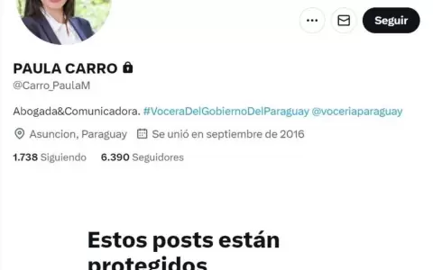 Diputado critica que nueva vocera del Gobierno limite acceso a sus redes sociales