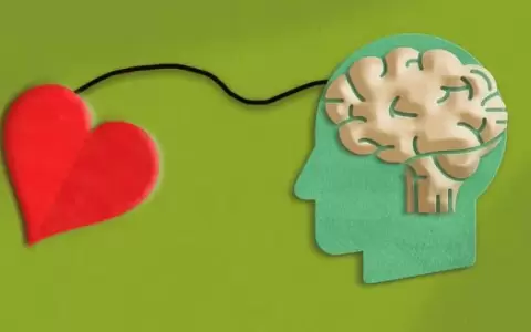 �Qu� pasa en el cerebro y en el coraz�n cuando nos enamoramos?