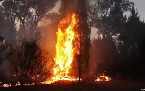 Australia evac�a a 30.000 personas por incendios forestales