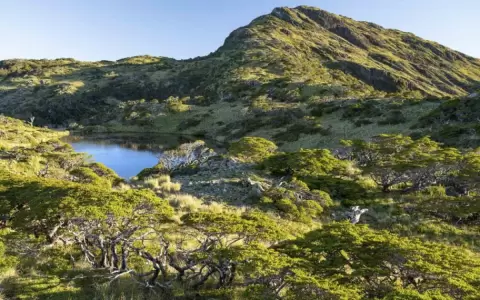 La isla chilena en venta por 35 millones de d�lares: es siete veces m�s grande que Manhattan