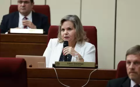 Sigue debate en el Senado: Lilian Samaniego plantea suspender por 60 d�as a Kattya Gonz�lez