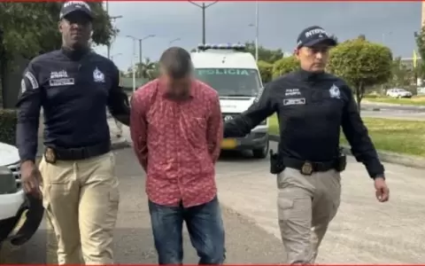 Megacargamento de droga en Hamburgo: cae supuesto narco ligado a esquema