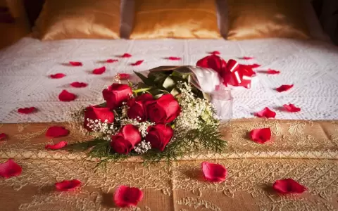 En la semana de San Valent�n: el amor es una poci�n que alimenta el sexo