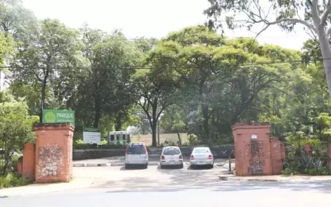Balean a una mujer en el Parque Carlos Antonio L�pez