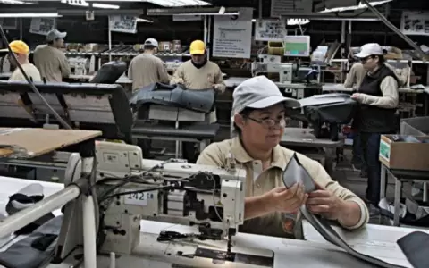 Resiliencia econ�mica: sectores manufacturero, comercial y de servicios impulsan crecimiento