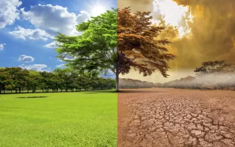 Cambio clim�tico.