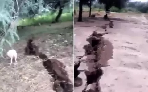Grieta en el suelo chaque�o no fue producto de un sismo, aclaran