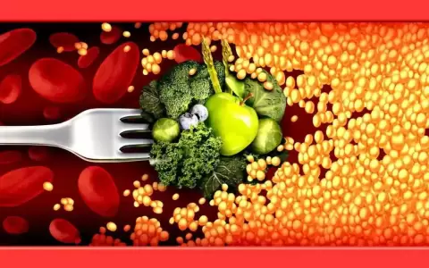 �C�mo controlar los niveles de colesterol y prevenir que aumenten?